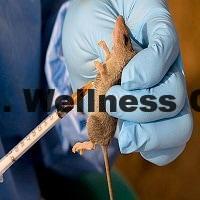 10 Undisputable Methods to Avoid Being Infected with Lassa Fever