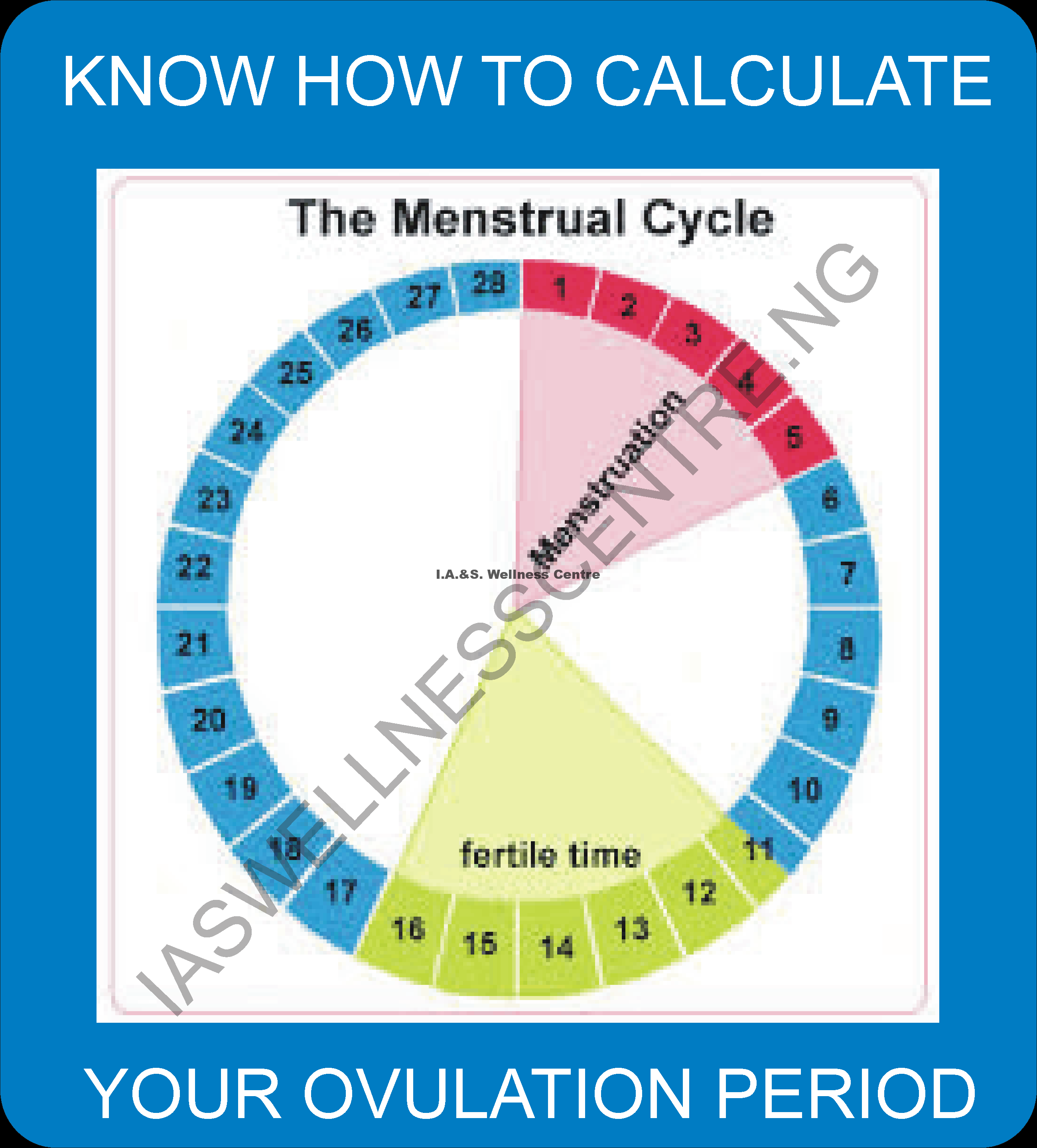 HOW TO CALCULATE YOUR OVULATION PERIOD – I.A.S Wellness Centre